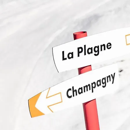 Chalet Les Lauzes - Pour 10 Personnes Mae-3288 La Plagne